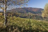 Jesień, Bieszczady, Krywe, Park Krajobrazowy Doliny Sanu