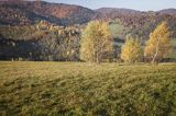 Jesień, Bieszczady, Krywe, Park Krajobrazowy Doliny Sanu