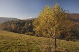 Jesień, Bieszczady, Krywe, Park Krajobrazowy Doliny Sanu