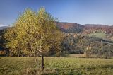 Jesień, Bieszczady, Krywe, Park Krajobrazowy Doliny Sanu