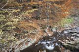 Potok Nasiczniański, Bieszczady