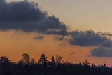 Las na Otrycie o świcie, Bieszczady