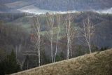 Widok z Polany, Bieszczady