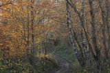 Droga, Bieszczady