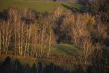 Widok z Polany, Bieszczady