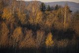 Widok z Polany, Bieszczady