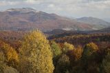 Jesień z widokiem na Tarnicę, Bieszczady