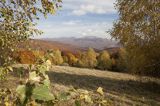 Jesień spod Rawek, widok na Tarnicę, Bieszczady