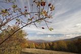 Jesień spod Rawek, widok na Tarnicę, Bieszczady, dzika róża, Rosa canina