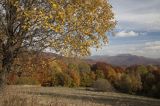 Jesień spod Rawek, widok na Tarnicę, Bieszczady