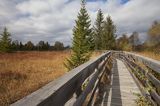 Torfowisko Tarnawa, Bieszczady, Bieszczadzki Park Narodowy