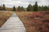 Torfowisko Tarnawa, Bieszczady, Bieszczadzki Park Narodowy