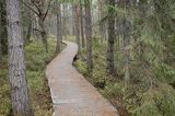 Torfowisko Tarnawa, Bieszczady, Bieszczadzki Park Narodowy