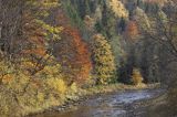 Potok Wołosaty, Bieszczady