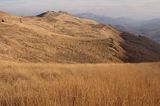 Bieszczady na Połoninie Wetlińskiej