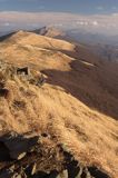 Bieszczady na Połoninie Wetlińskiej