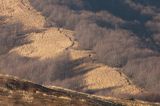 Bieszczady na połoninie