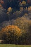 Bieszczady jesień Sokołowa Wola