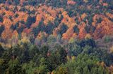 Bieszczady jesień Sokołowa Wola