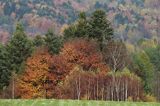 Bieszczady jesień Sokołowa Wola