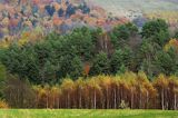 Bieszczady jesień Sokołowa Wola brzozy