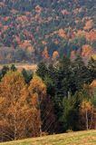 Bieszczady jesień Sokołowa Wola