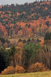 Bieszczady jesień Sokołowa Wola