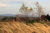 Bieszczady jesień Sokołowa Wola