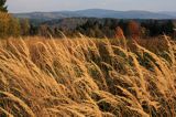 Bieszczady jesień Sokołowa Wola