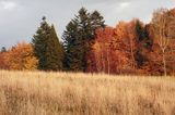 Bieszczady jesień Sokołowa Wola