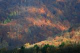 Bieszczady jesień Sokołowa Wola