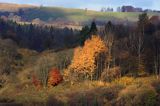 Bieszczady jesień Sokołowa Wola