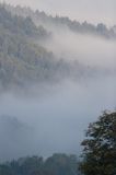 mgły nad żukowem, dolina żłobka, Bieszczady