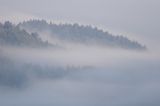 mgły nad żukowem, dolina żłobka, Bieszczady