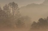 mgły o świcie na Sokołowej Woli, Bieszczady