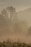 mgły o świcie na Sokołowej Woli, Bieszczady