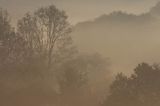 mgły o świcie na Sokołowej Woli, Bieszczady