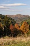 lasy i łąki, Bieszczady