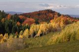 jesień na Ostrem, szczyt Kolasznia, Bieszczady