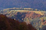 jesień na Ostrem, Bieszczady