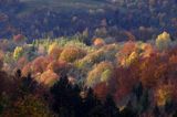 jesień na Ostrem, Bieszczady