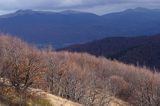 panorama z Jasła, Bieszczady