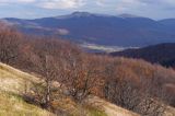 panorama z Jasła, Bieszczady