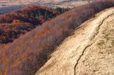 na grzbiecie połoniny, na Smereku, Bieszczady