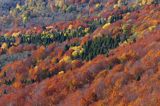 jesienne kolory, Bieszczady