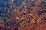 jesienne kolory, Bieszczady