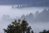 mgły nad Jawornikami, Bieszczady