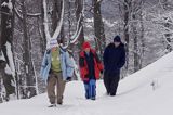 na szlaku na Tarnicę z Wołosatego, Bieszczady