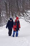 na szlaku na Tarnicę z Wołosatego, Bieszczady