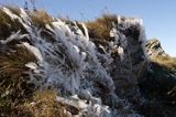 Bieszczady, na Rozsypańcu